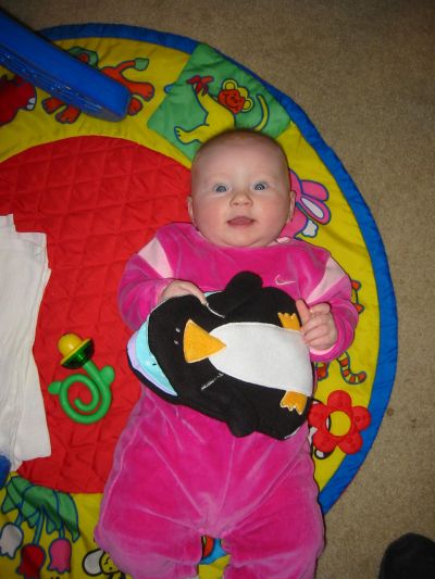 Penguin invasion!
